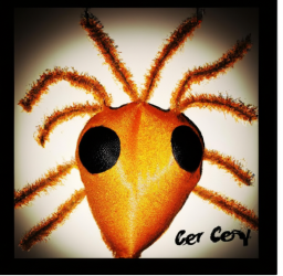 The Future of Marketing: Harnessing the Power of AR and VR