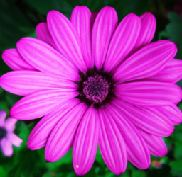 The Ultimate Guide to Finding the Perfect Influencer for Your Brand