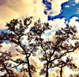 H1: 7 Steps to Conduct an Effective SEO Audit: Boost your website’s performance with this comprehensive guide.

H2: Introduction to SEO Audits

H2: What is an SEO Audit?

H2: Why Should You Conduct an SEO Audit?

H2: Conducting an Effective SEO Audit

H2: Conclusion