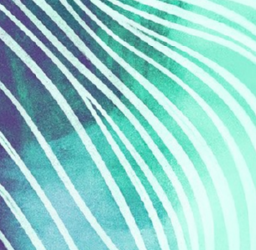 The Power of Social Proof: Boost Trust and Conversions with these Strategies