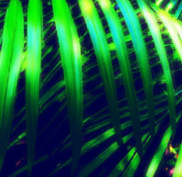 7 Strategies for Effective Lead Nurturing with Email Marketing