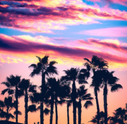 How to Conduct an Effective SEO Audit: Boost Your Website’s Performance.