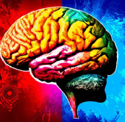 Boost Your Marketing Strategies with Psychological Principles