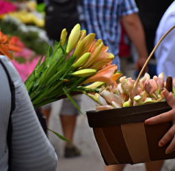 Unleash the Power of BI Tools: 5 Steps to Better Decision Making