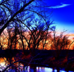 The Importance of Sentiment Analysis in Social Media Marketing: Enhancing Strategies and Engaging Customers