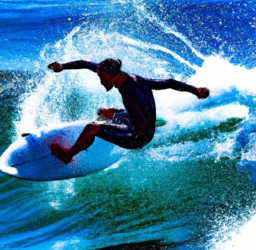 Stay Ahead of the Curve: Evolving SEO Trends Unleashed