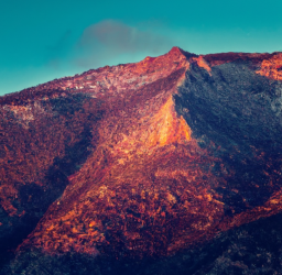 7 Essential Steps to Find the Perfect Influencer for Your Brand