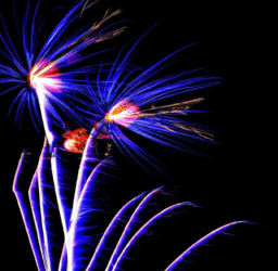 The Power of Video: 7 Benefits of Incorporating Video into Your Digital Marketing Strategy