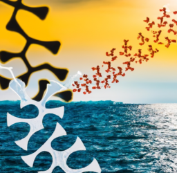 Evolving SEO Trends: Stay Ahead of the Curve and Boost Your Website’s Visibility
