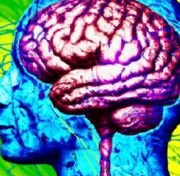 The Power of Neuromarketing: Unlocking Consumer Behavior