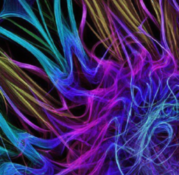 Decoding Viral Marketing Success: Unleashing the Ingredients for a Powerful Campaign