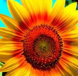 Unlock the Power of Personalization in Email Marketing: Boost open rates, click-through rates, and conversions with personalized emails