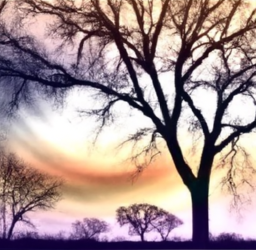 SEO vs. SEM: Understanding the Difference and Benefits