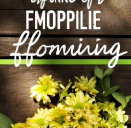 The Power of Shoppable Posts: Revolutionizing Social Media Marketing