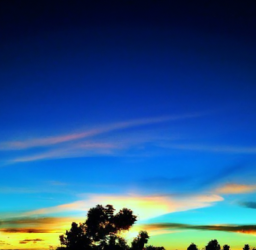 The Power of Transparency in Influencer Marketing: Building Trust and Authenticity