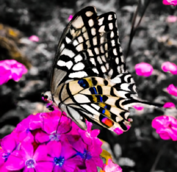 Finding the Perfect Influencer Match for Your Brand: A Step-by-Step Guide