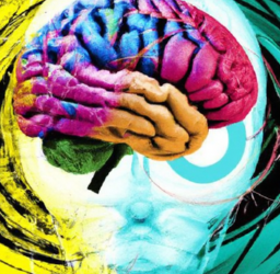 Unleashing the Power of Neuromarketing: Understanding Consumer Behavior